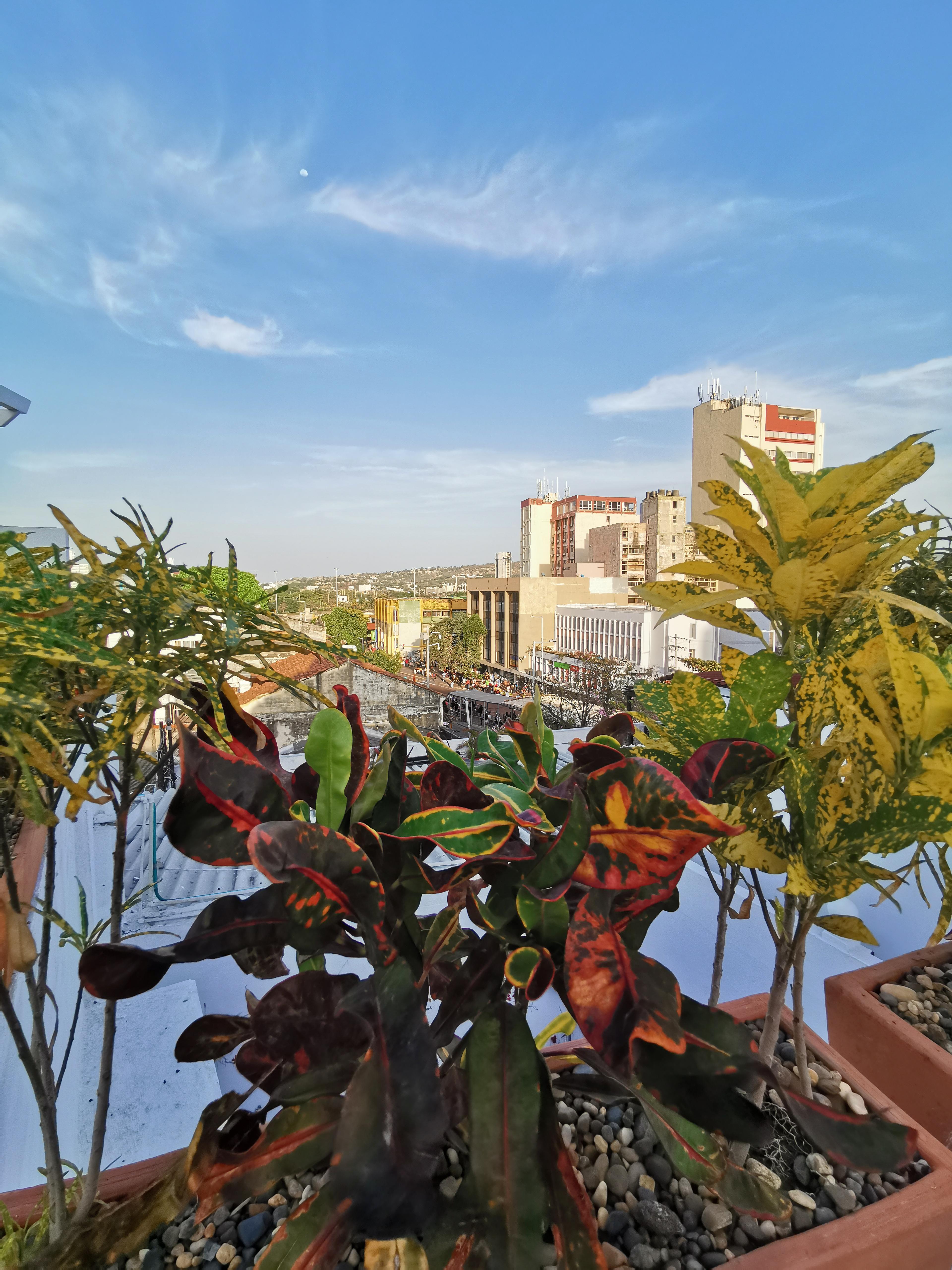 Luka Cartagena Hotel Exteriér fotografie